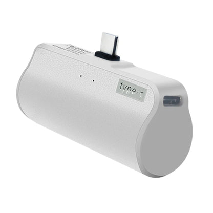 4800mAh Capacity Type-C Charger Battery Pack for 2 Battery Pack VR Headset Power Banks